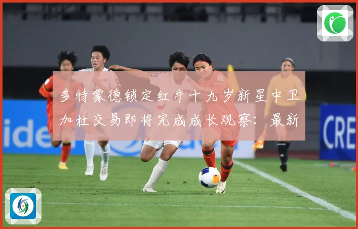 多特蒙德锁定红牛十九岁新星中卫加杜交易即将完成成长观察：最新赛事动态与深度分析